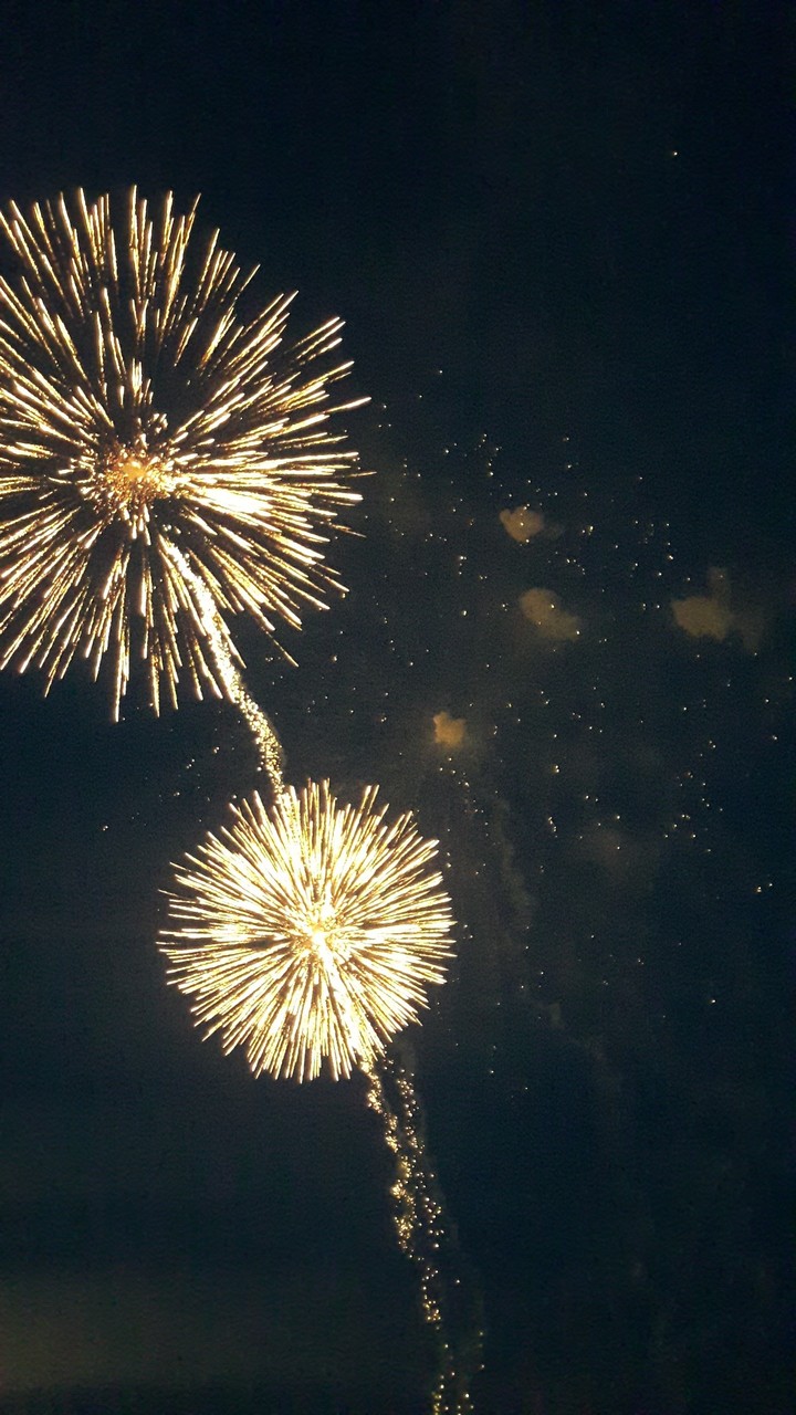 Firework