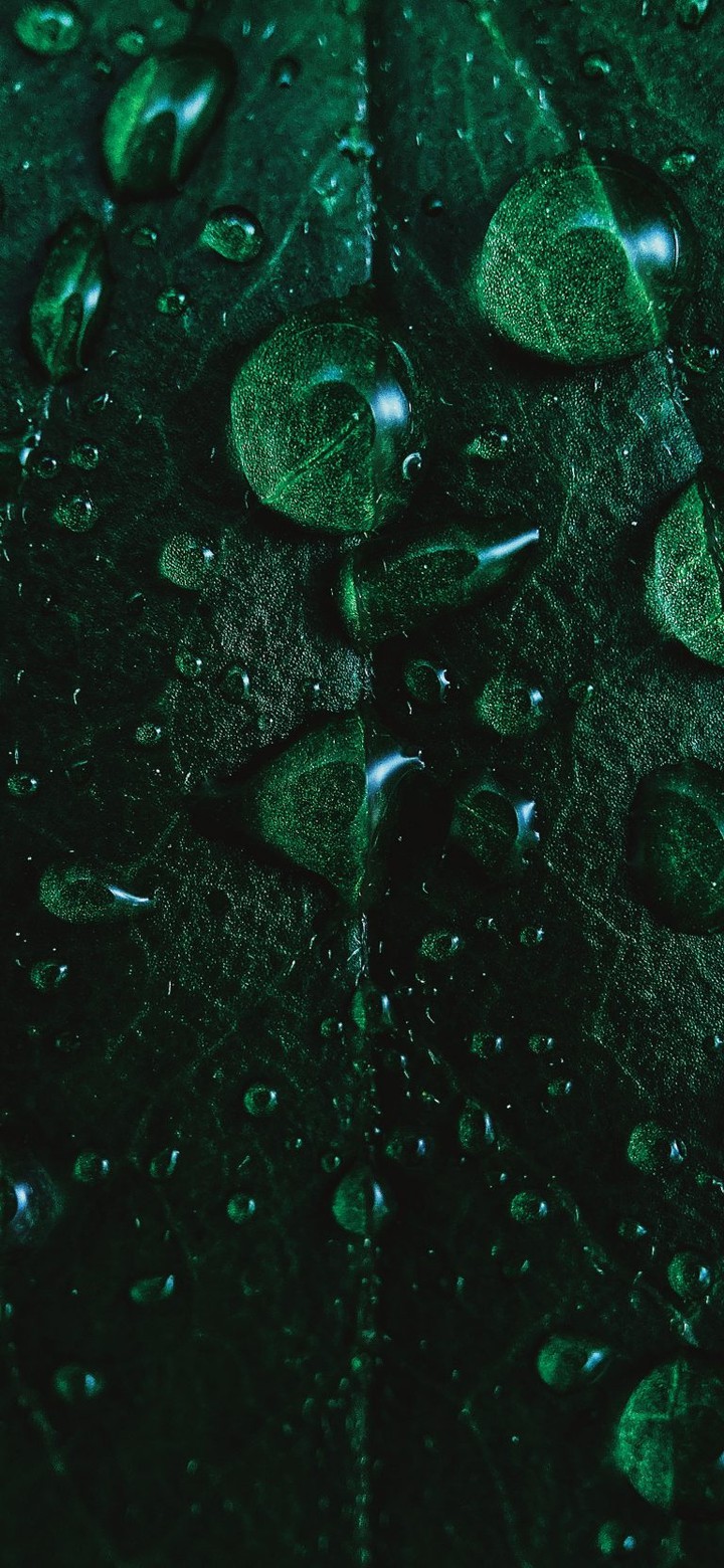rain