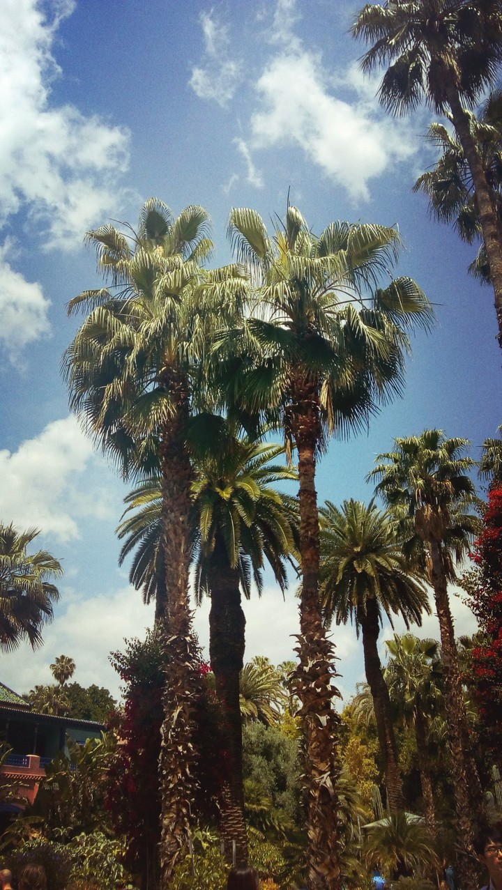 Marrakech ♥️