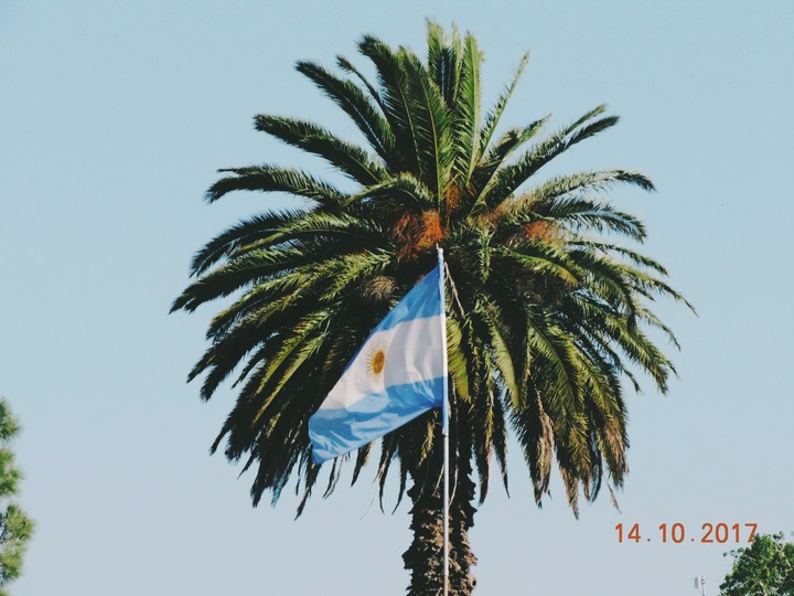 Bandera Argentina
