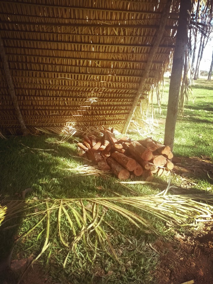 natural história.