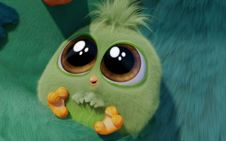 Angry Bird