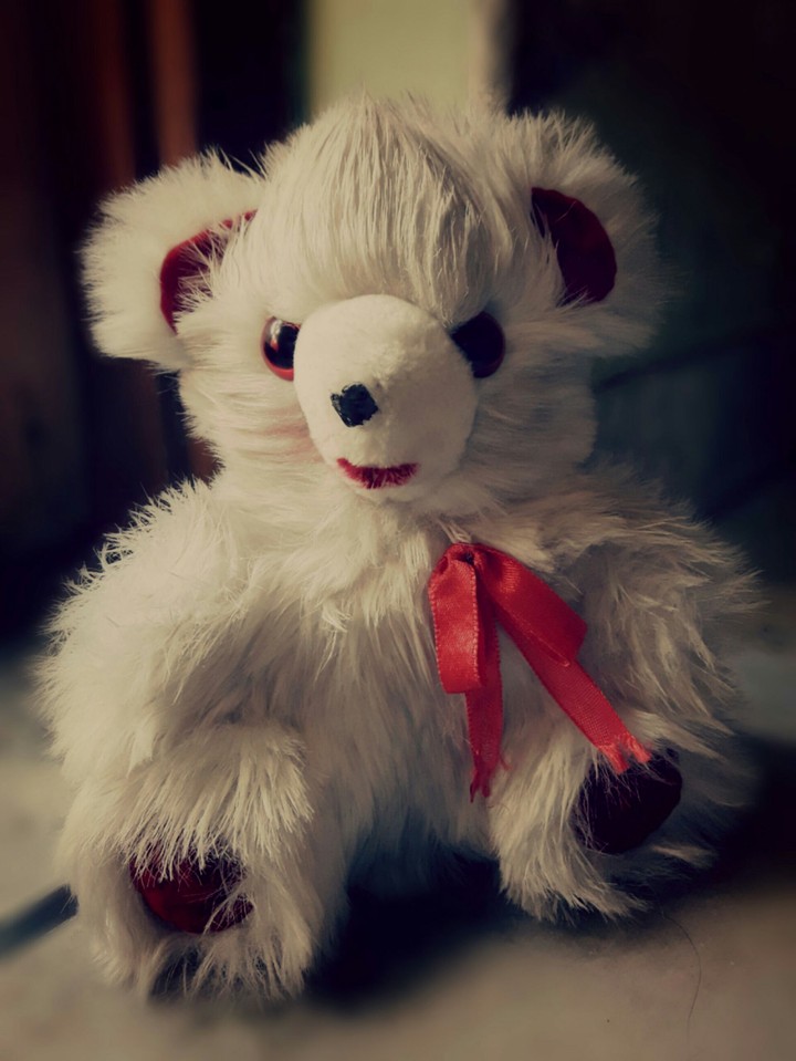 DEVIL's TEDDY