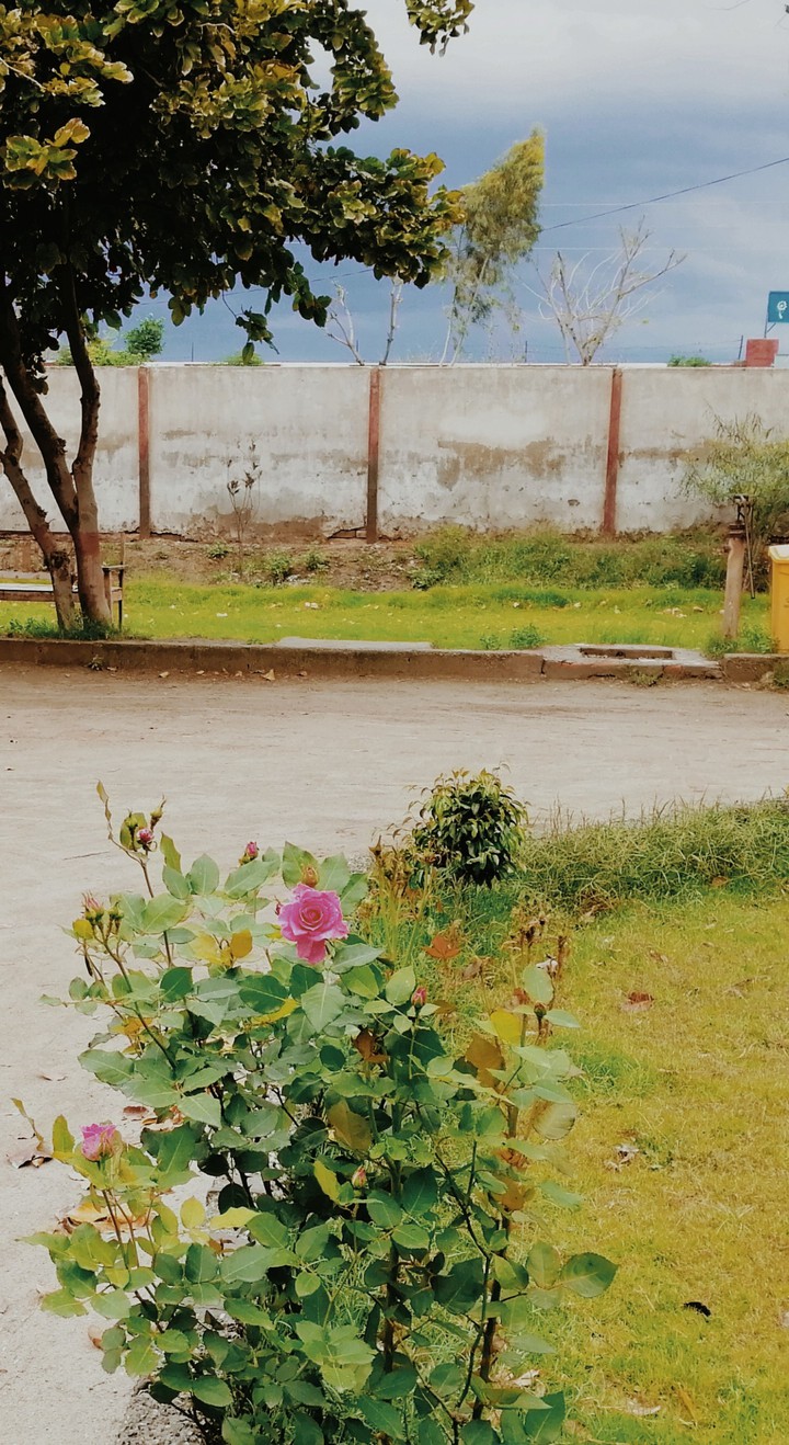 cloudy spring