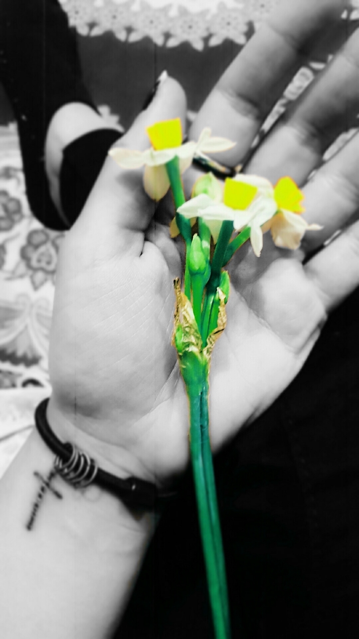 flower