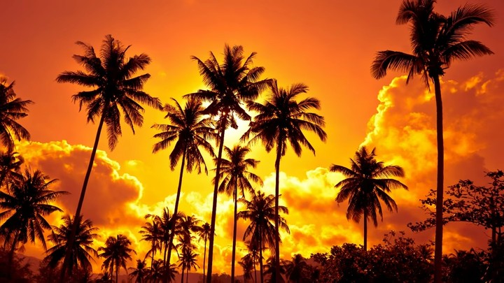 sunset