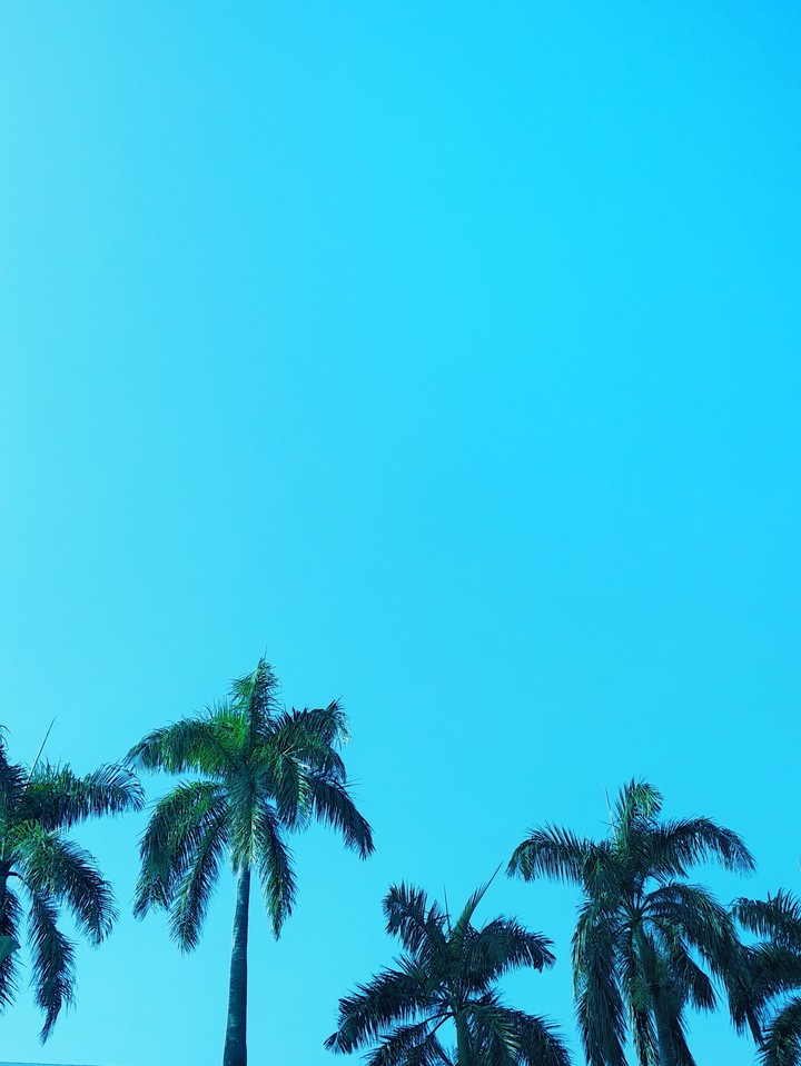 Tenang