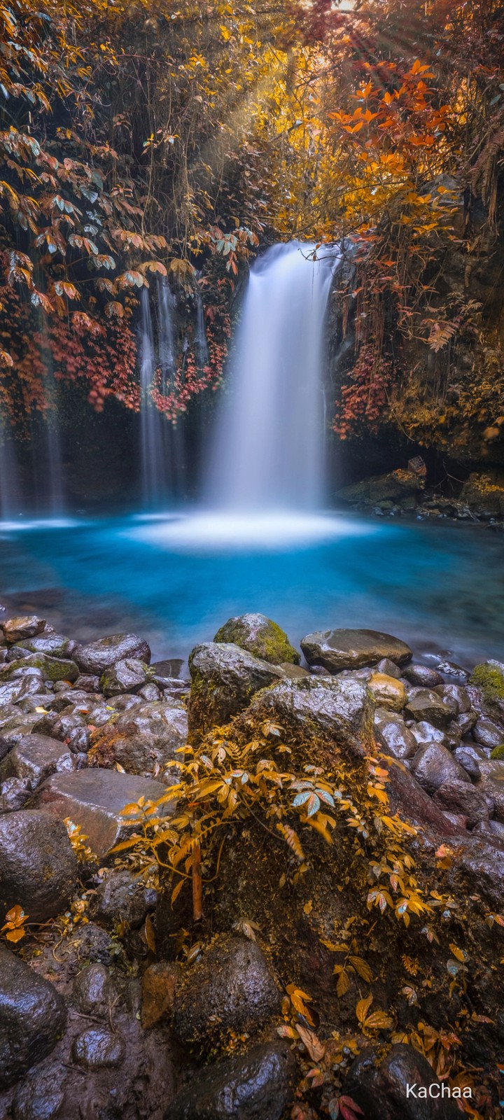nature