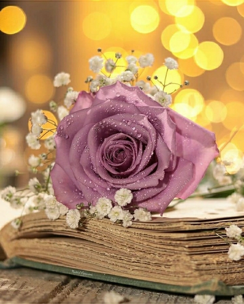 good morning