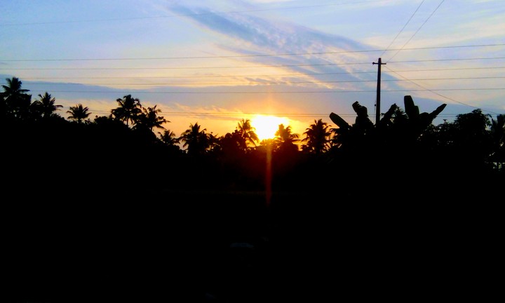 Sunny
