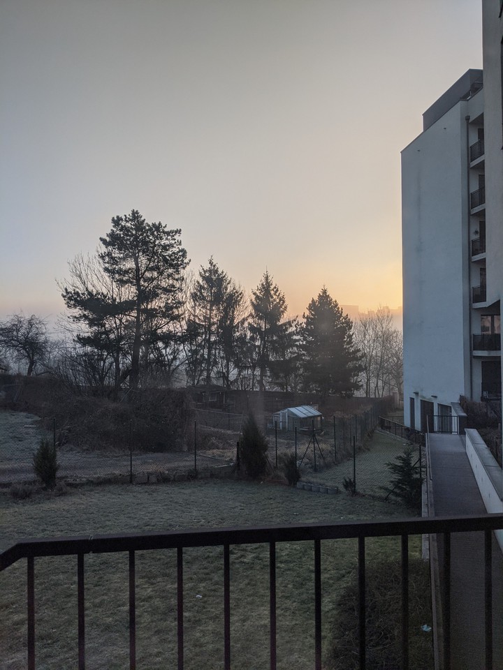 Morning Glory