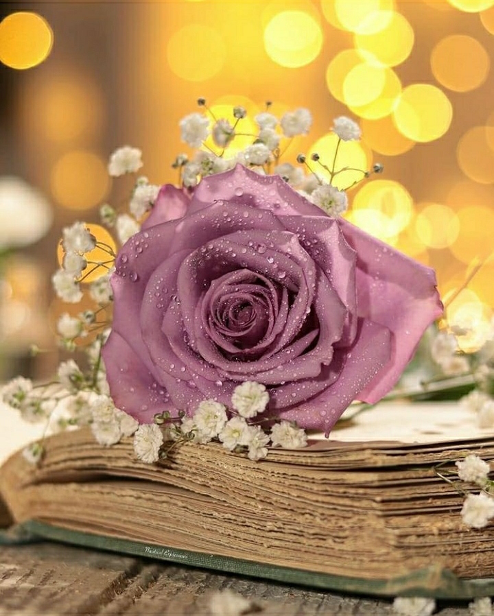 good morning