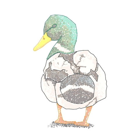 오리
