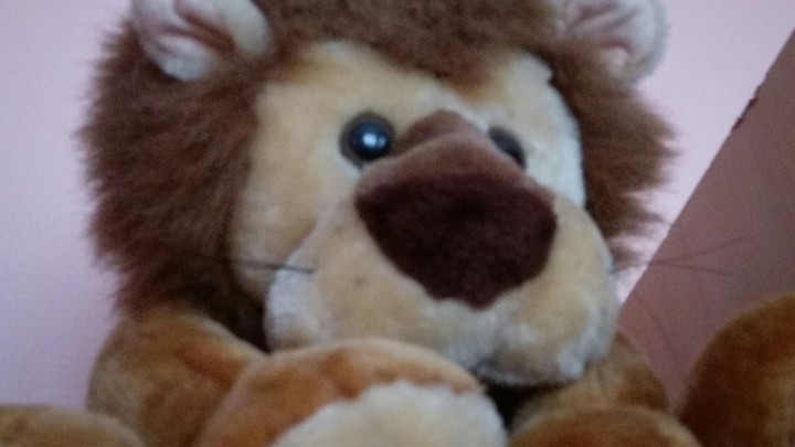 Teddy Leon