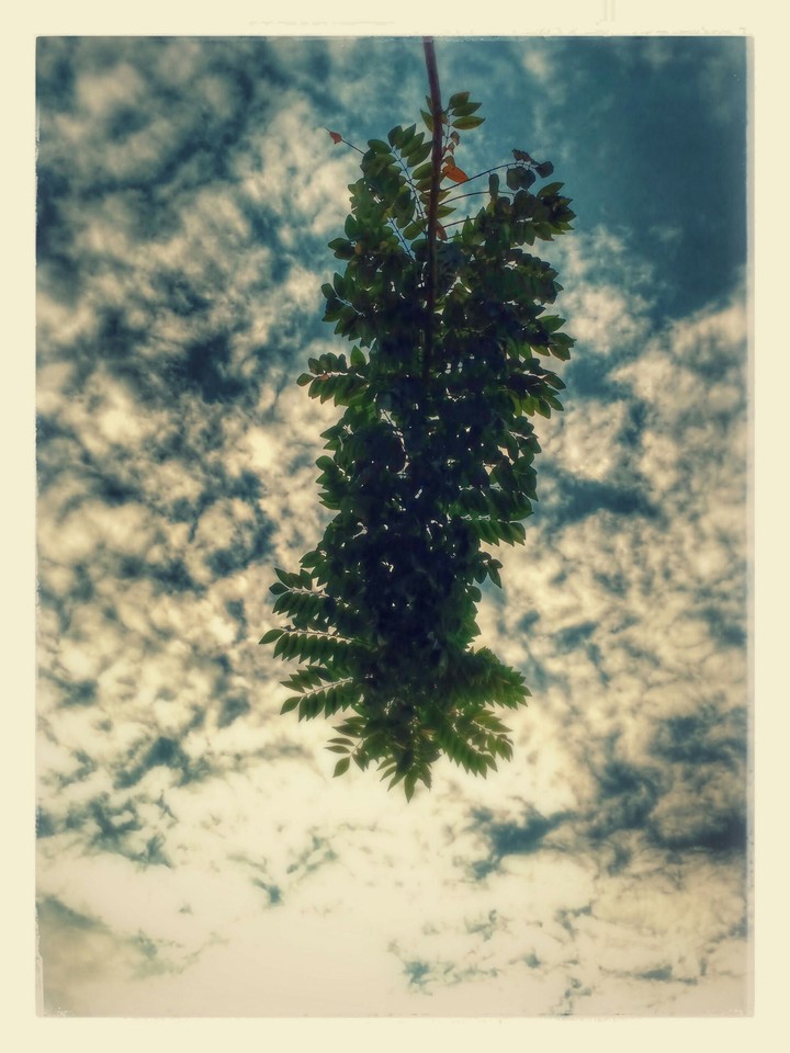 sky