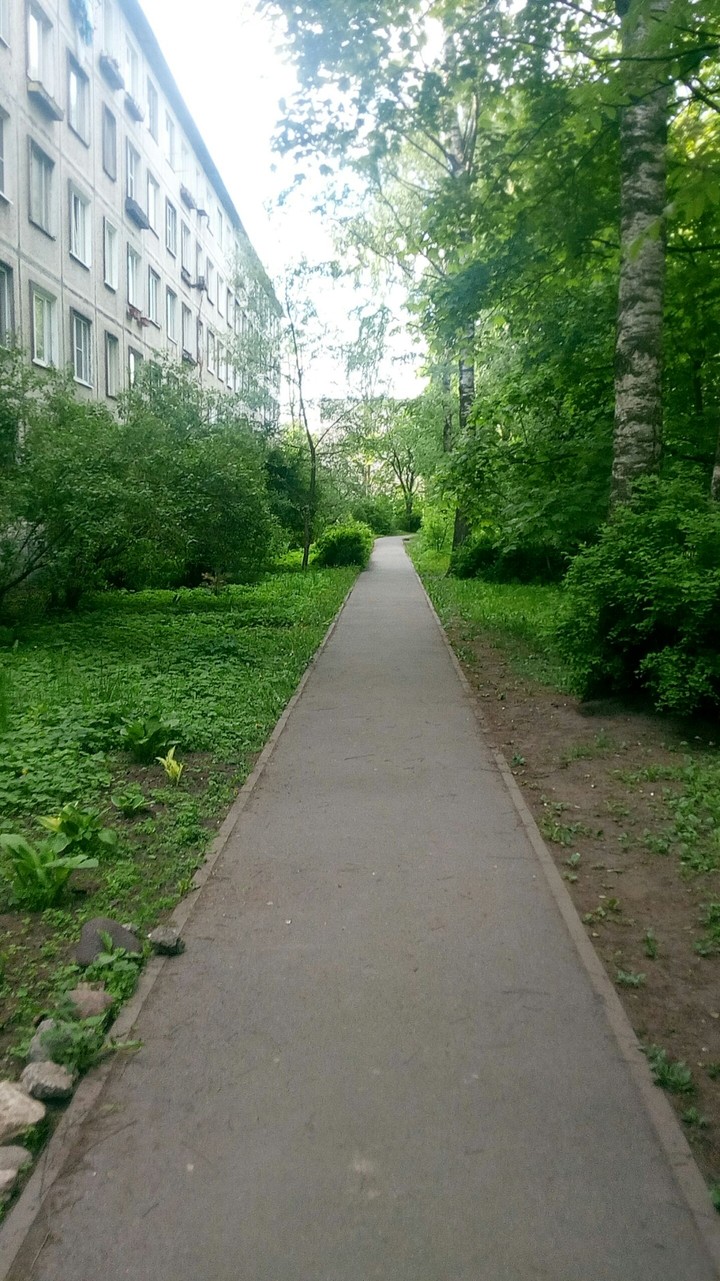 summer