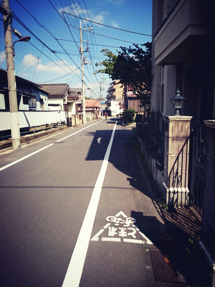 道