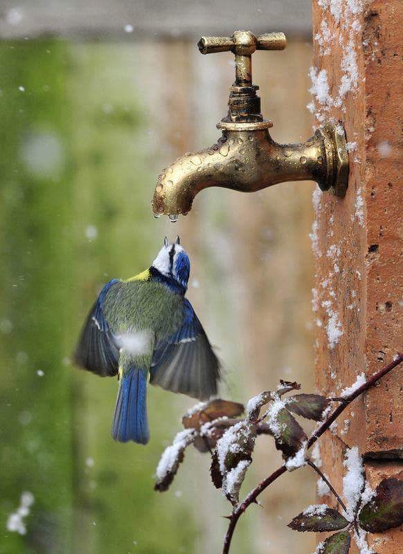 Raining