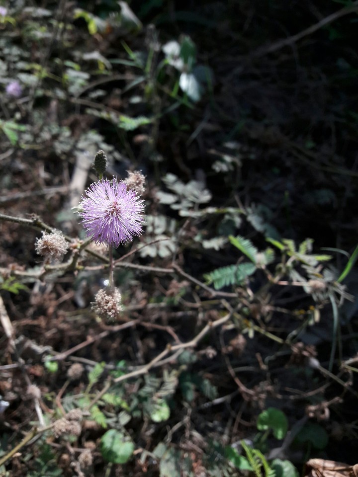 Morning click.