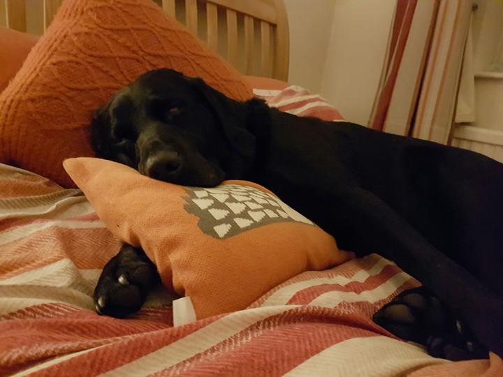 sleepy boy