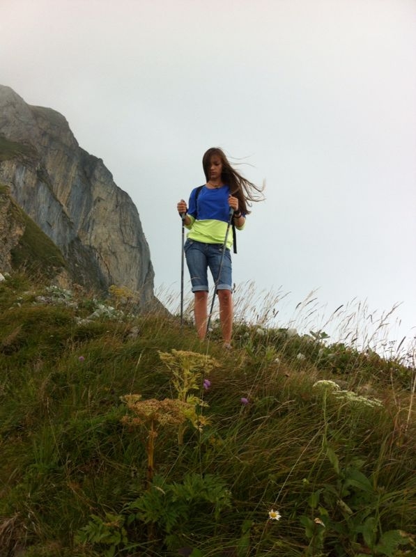 Swiss Alps