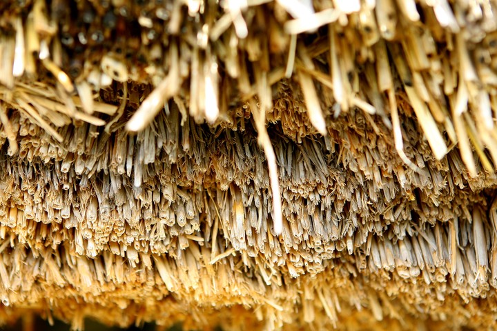 Straw