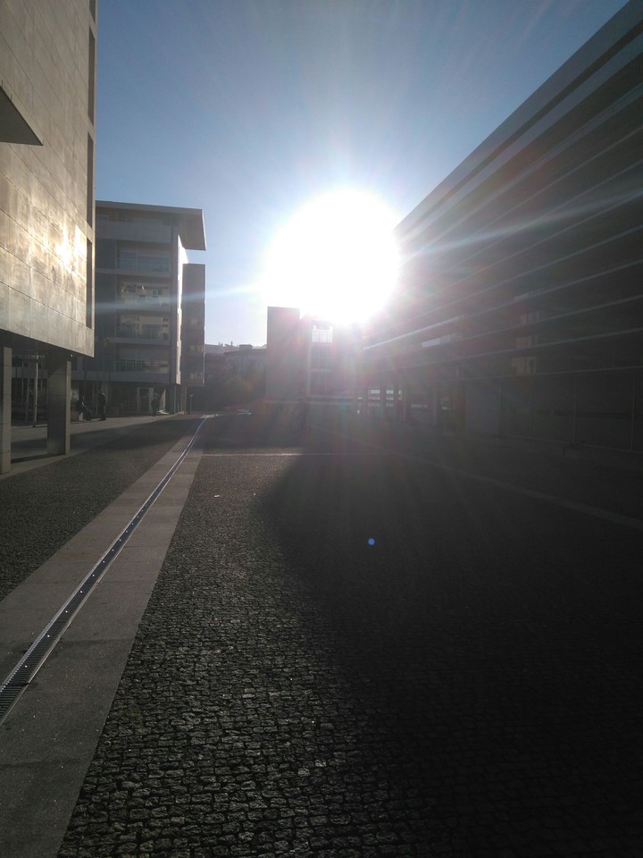 sun