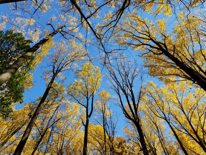Peak Autumn colors