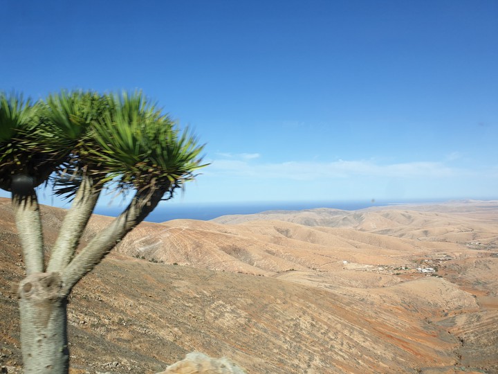 Fuertoventura