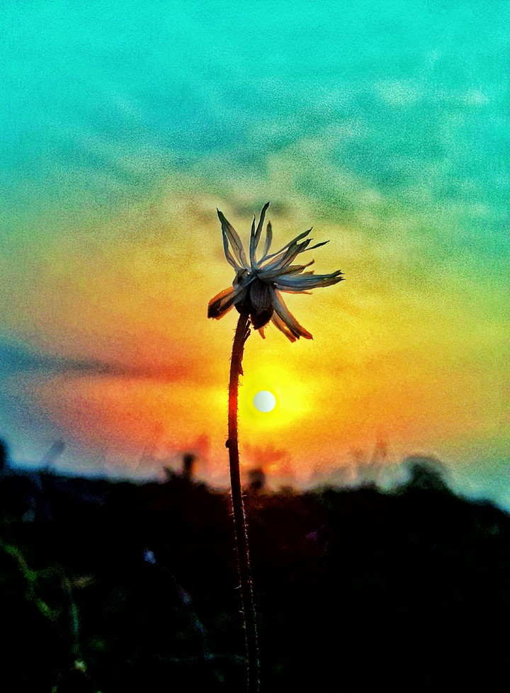 Perfect sun rise