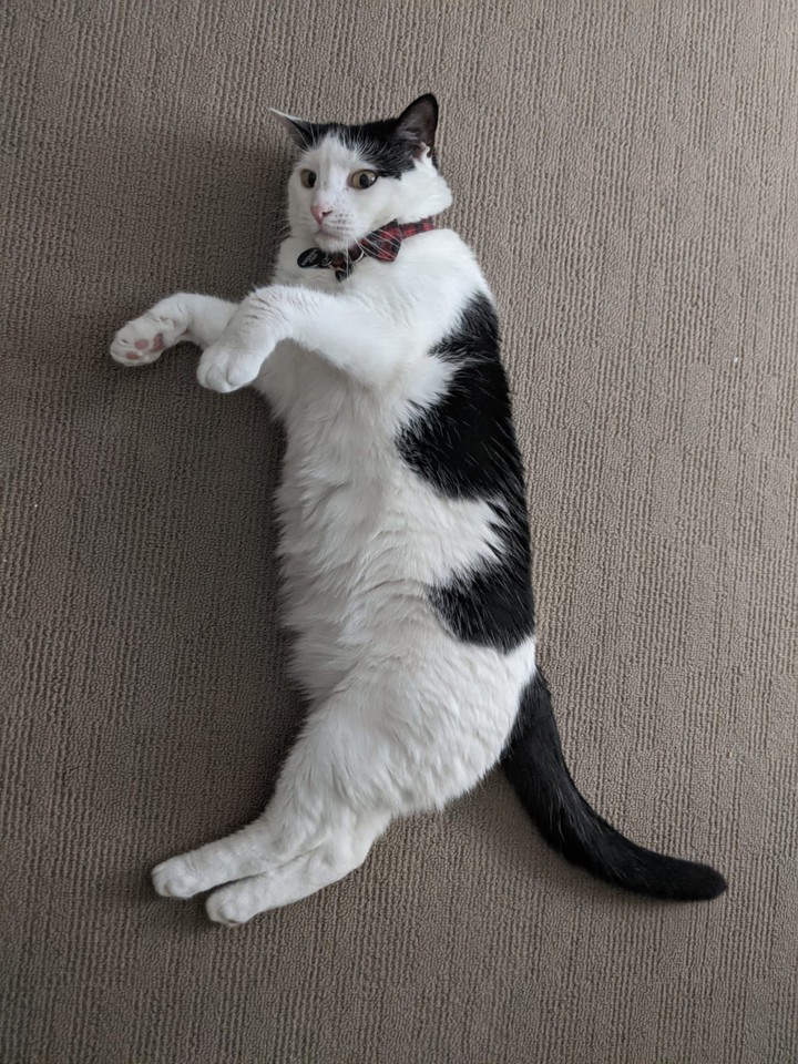 am I cute?