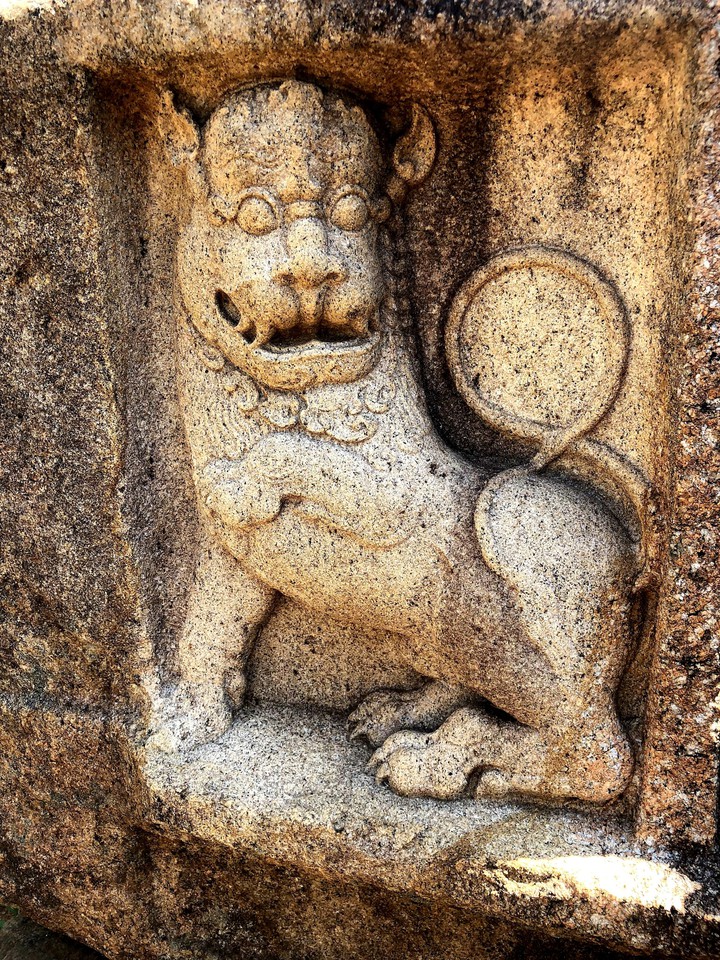 Old Lion