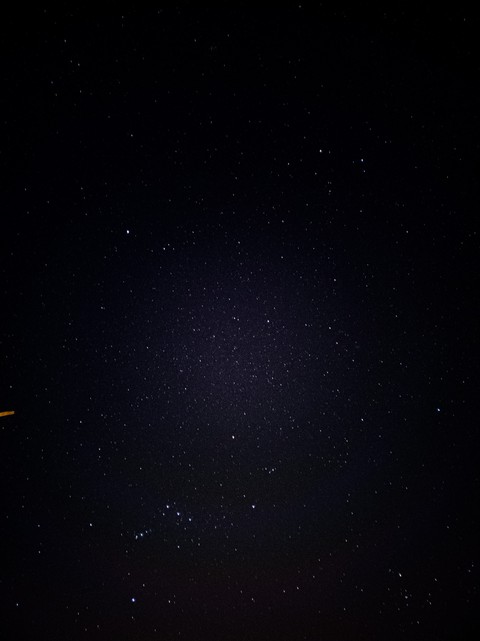stars