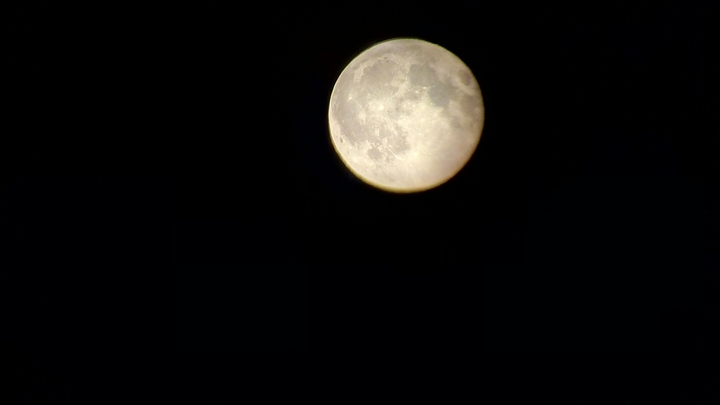 Moon