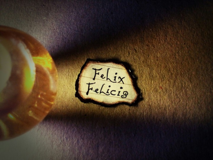 Felix Felicis