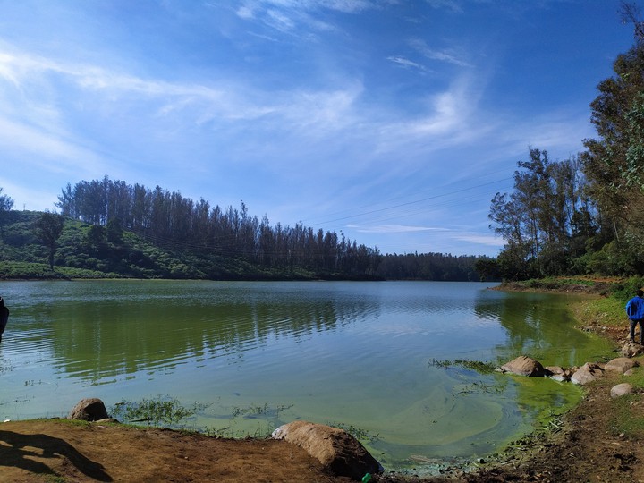 Nature Call's