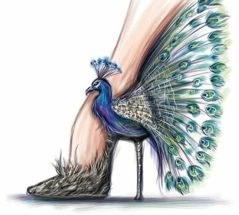 shoe