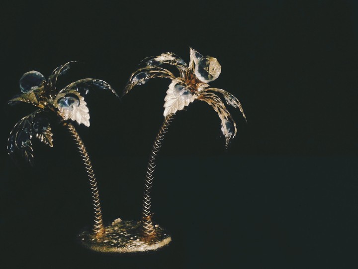 Beautiful Diamond Palm Trees