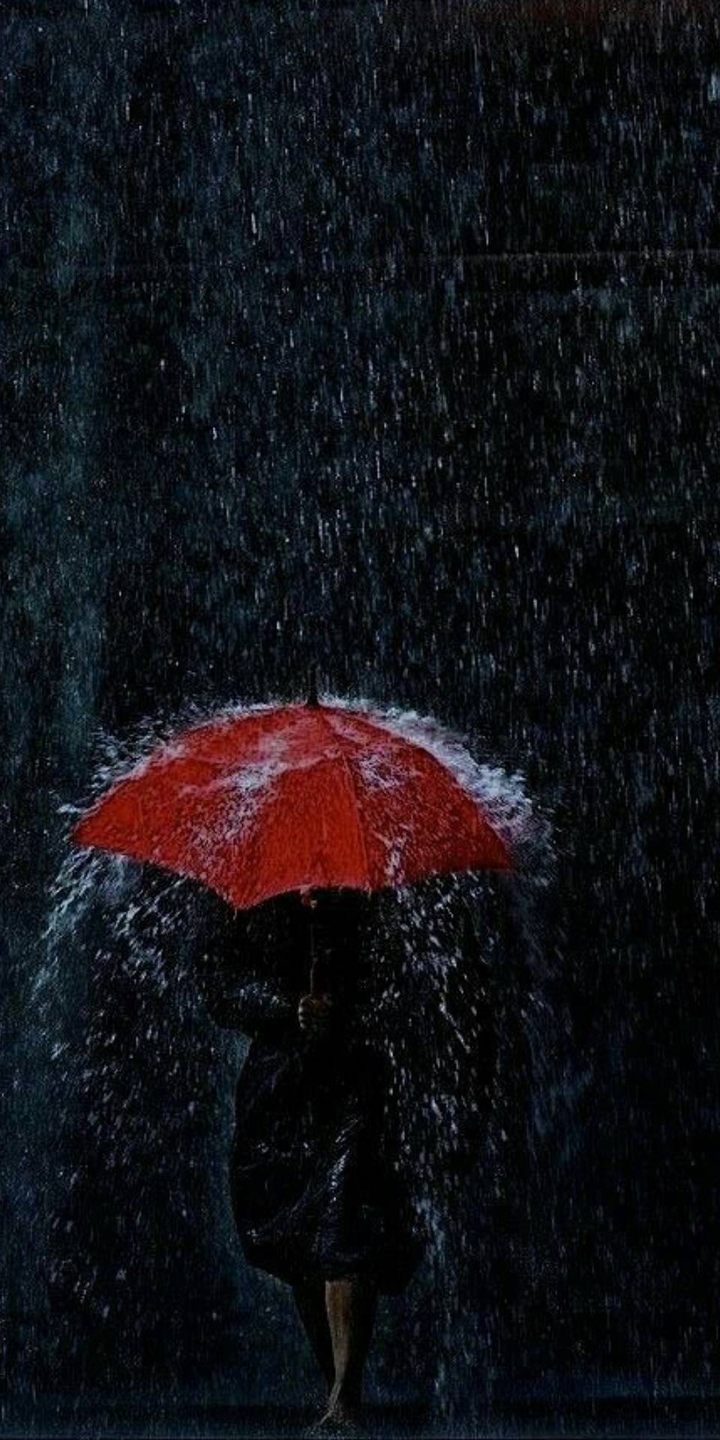 umbrella