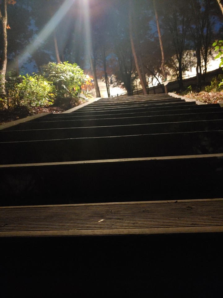 동대문 낙산