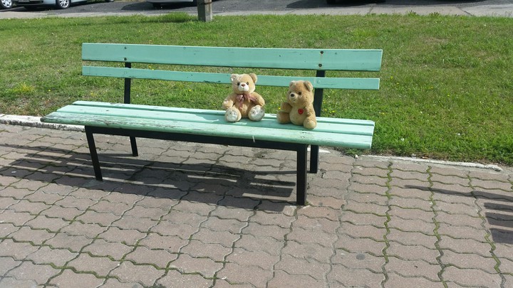 bear