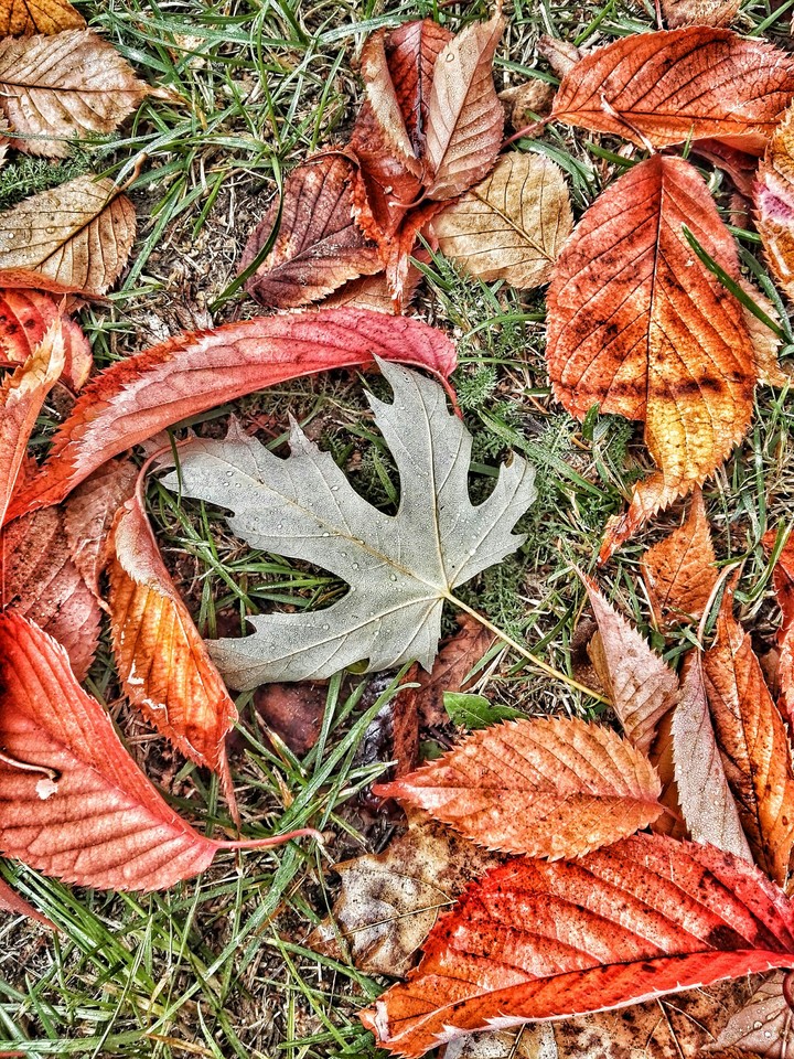 Herbst 2