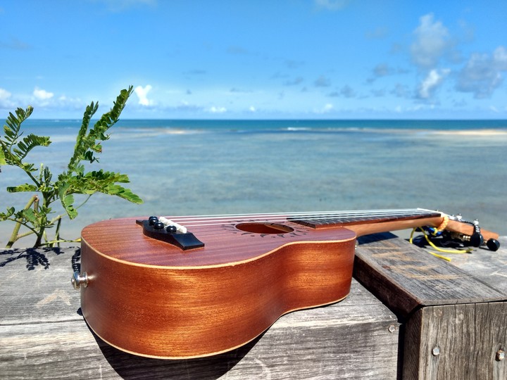 Music in the sea