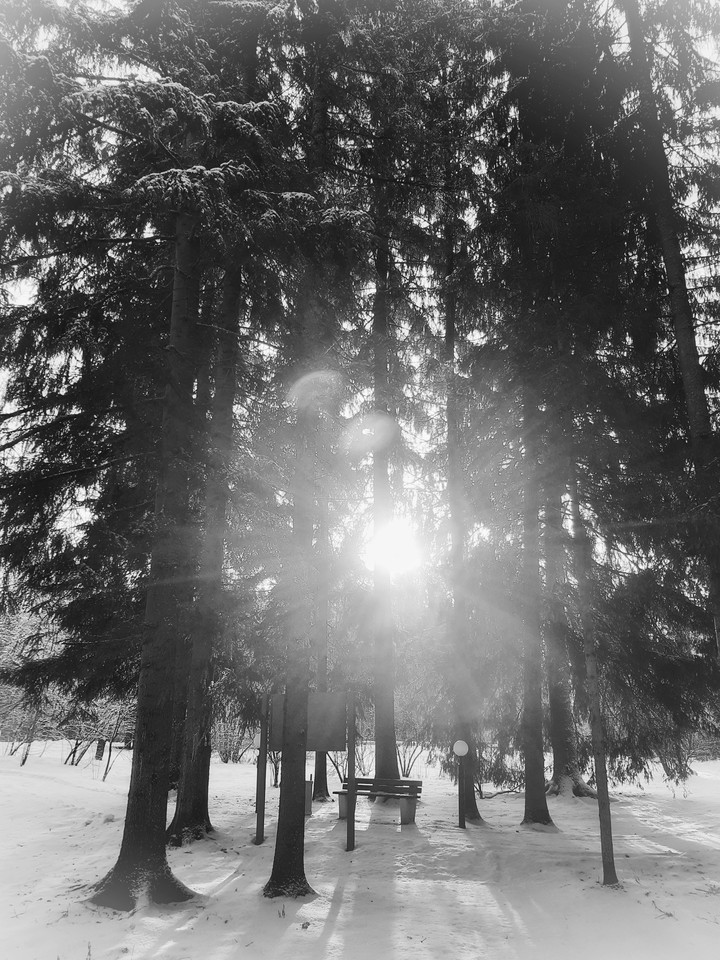 black and white