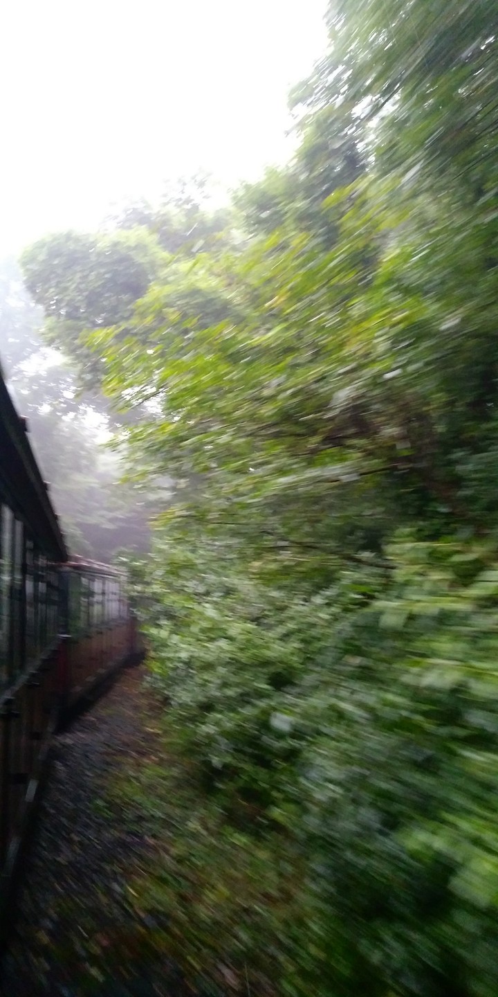train