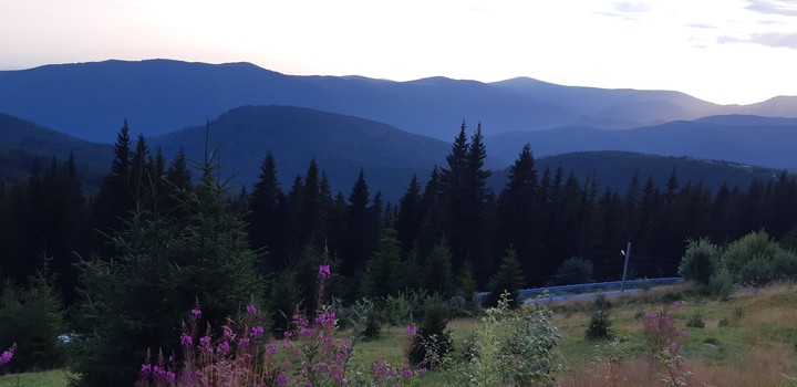 view