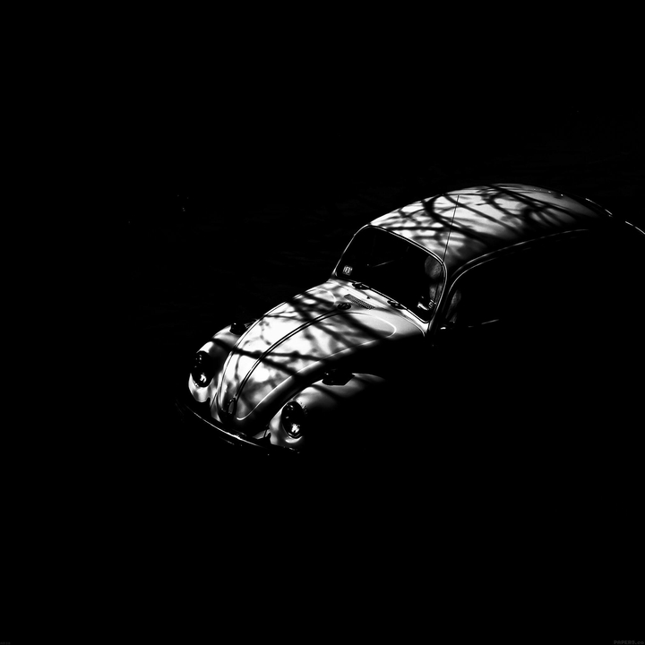 Black Beauty