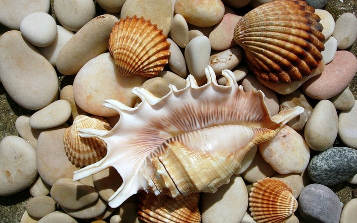 Морське