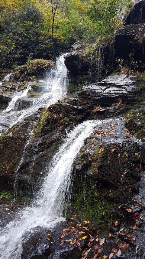 Fall Waterfalls