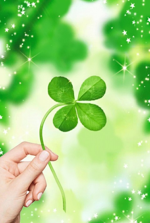 tapety shamrock, green